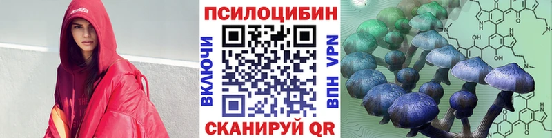 Купить где  Свирск  Галлюциногенные грибы Magic Shrooms 